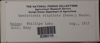 Image Associated With the Occurence